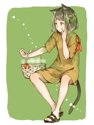 秋猫